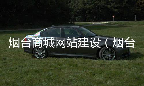 烟台商城网站建设(烟台网站建设哪家更好)