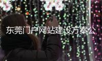 东莞门户网站建设方案公司（东莞网站建设公司排名）