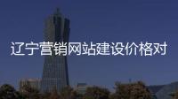 辽宁营销网站建设价格对比的简单介绍
